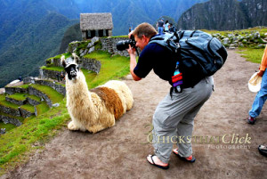 Llama and tourist at Macchu Pichu, Peru